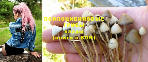 дмт Верхний Тагил
