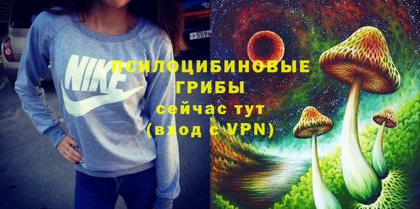 молекула духа Волосово